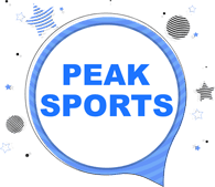 Stadion Logo
