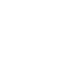 Snelle Betaling Icon