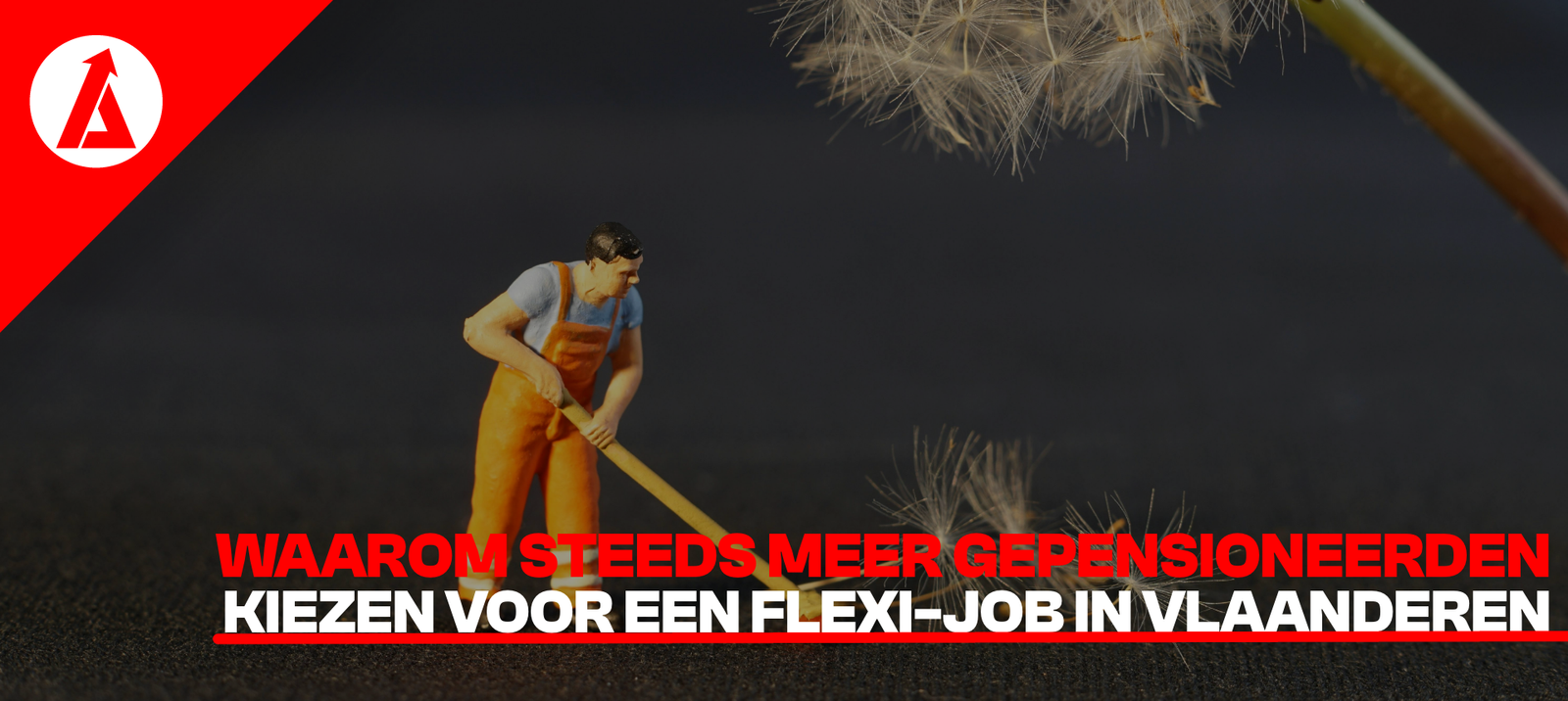 Waarom gepensioneerden kiezen voor een flexi-job in Vlaanderen – AnyShift