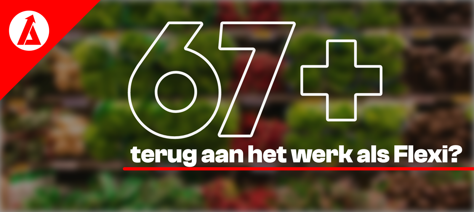 Flexi-job na je pensioen: werken als 60+ of 65+ via AnyShift