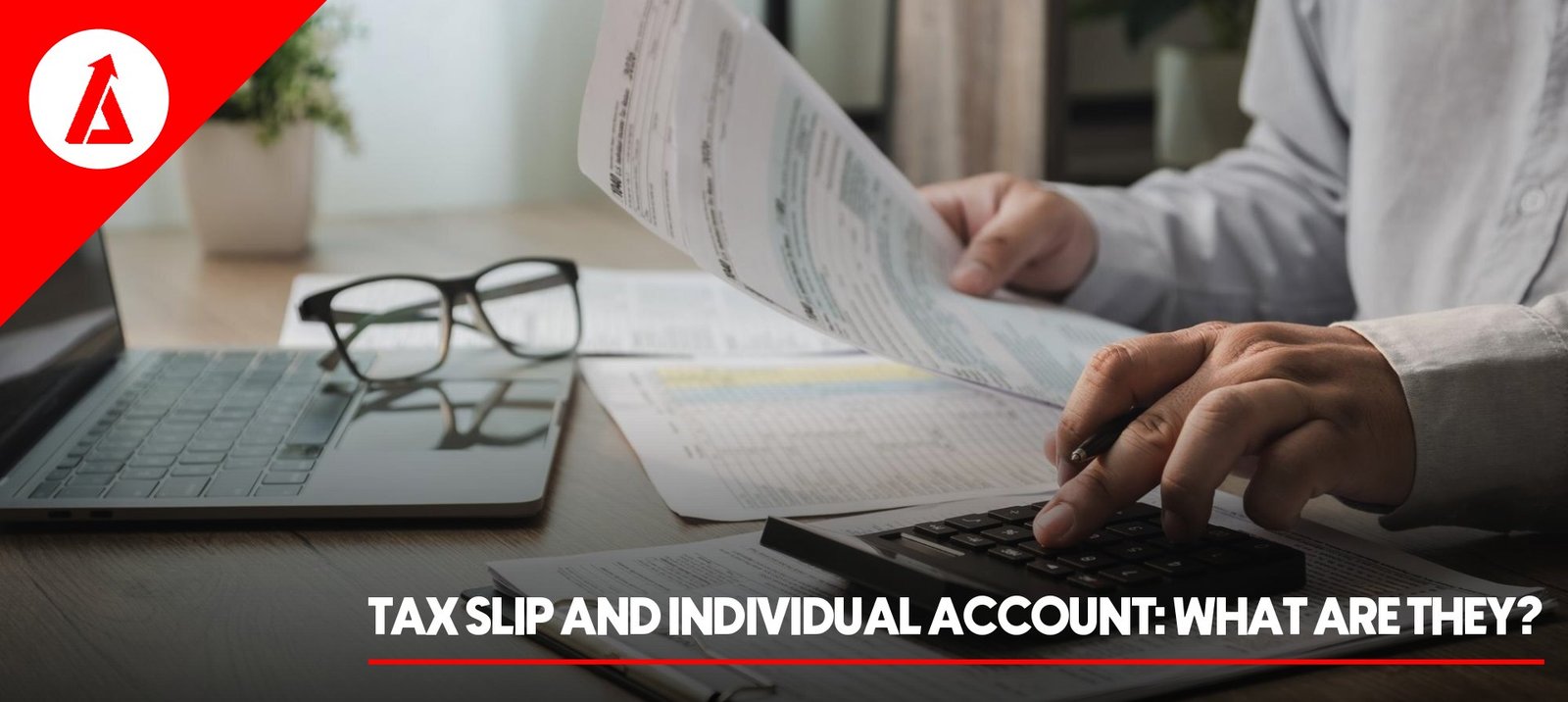 Tax slip and individual account: what are they?