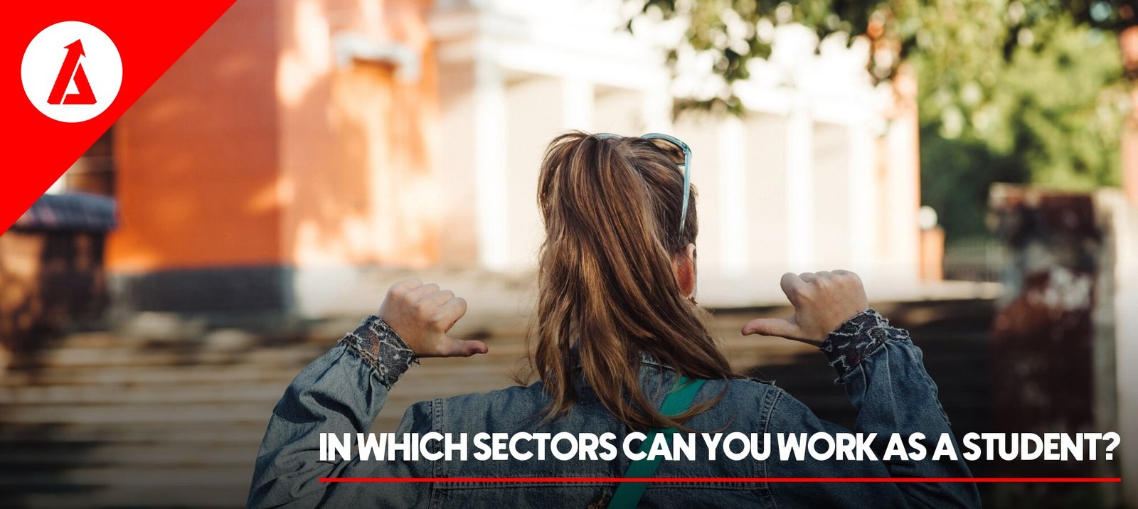 In which sectors can you work as a student?